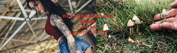 2c-b Магас