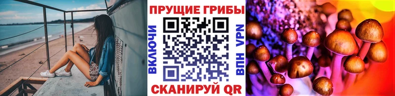 Галлюциногенные грибы Psilocybe Лесной