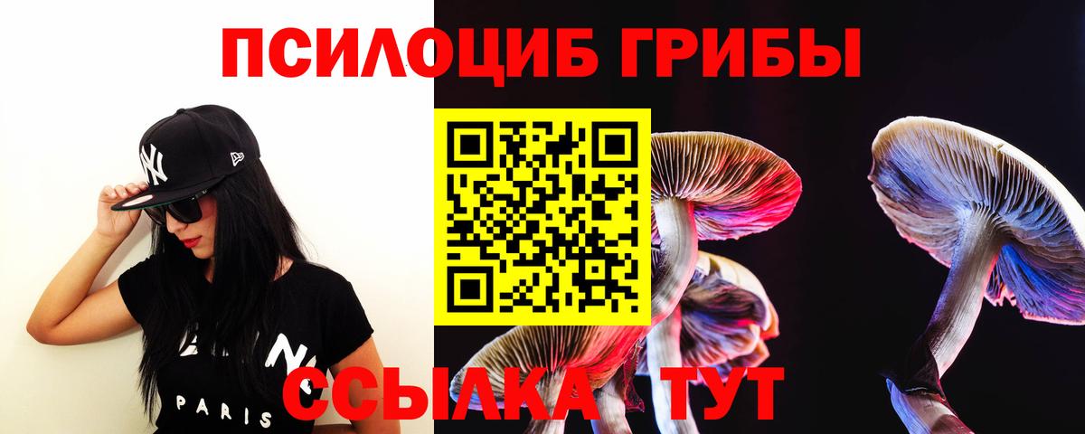 Псилоцибиновые грибы Psilocybe  Вход с VPN  Лесной  Псилоцибиновые грибы GOLDEN TEACHER 